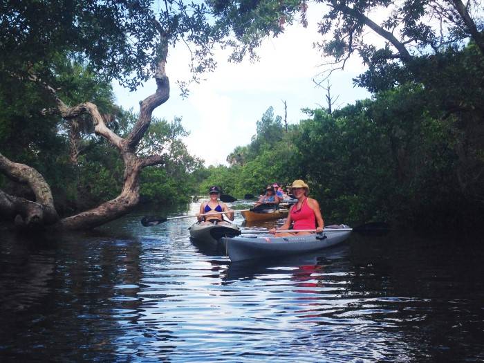 Gill Dawg | restaurant | 5419 Treadway Dr #1, Port Richey, FL 34668, USA | 7278421070 OR +1 727-842-1070