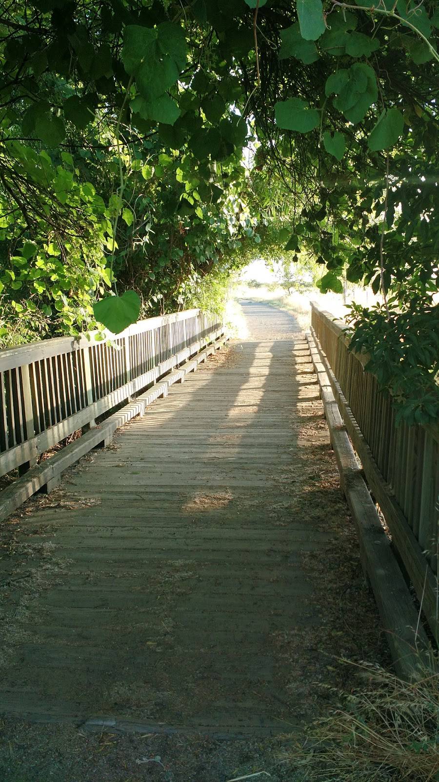 Wildhorse Golf Club | restaurant | 2323 Rockwell Dr, Davis, CA 95618, USA | 5307534900 OR +1 530-753-4900