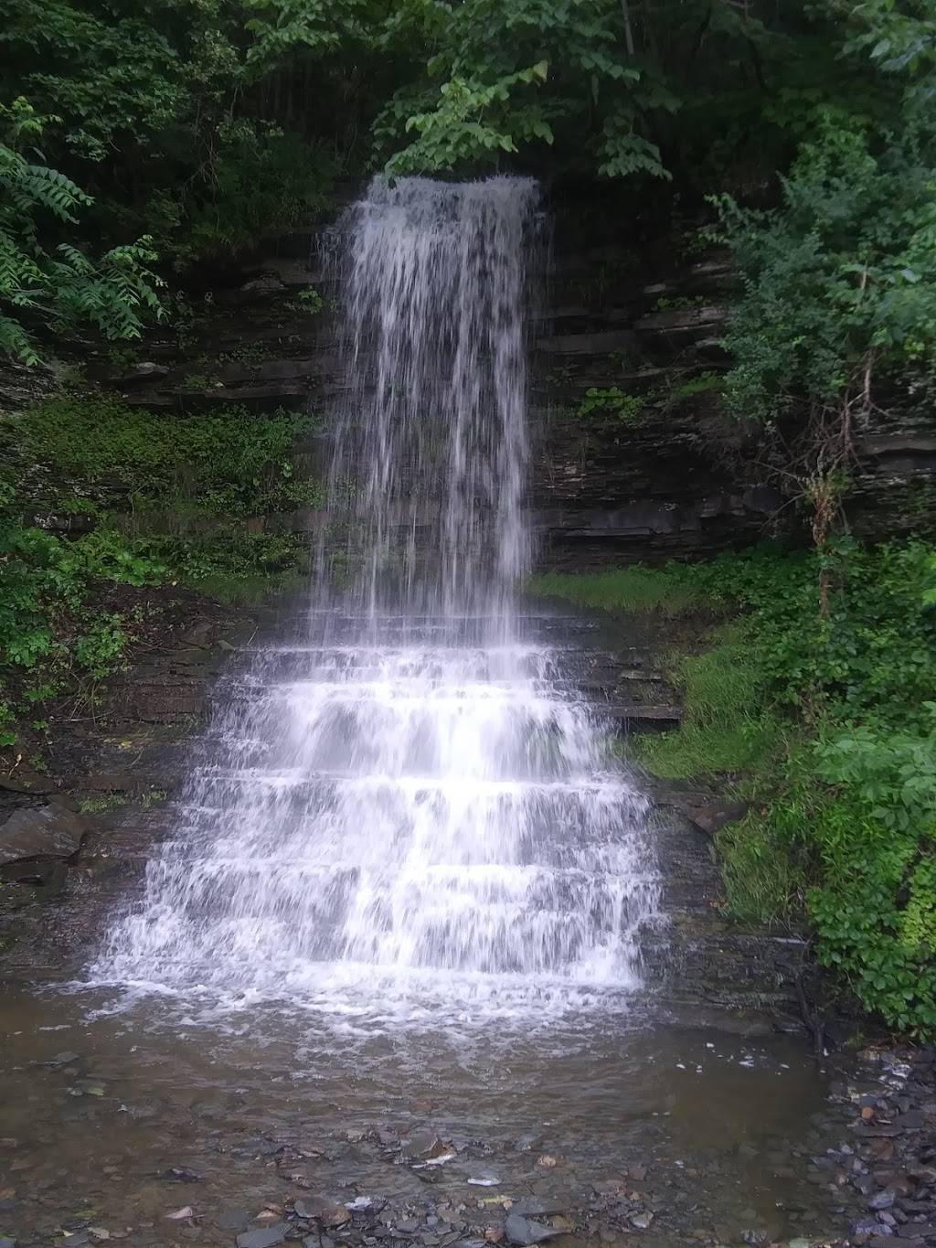 Classic Chefs | restaurant | 380 N Catherine, Montour Falls, NY 14865, USA | 6075359975 OR +1 607-535-9975