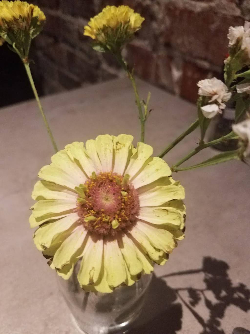 Graze Burgers | restaurant | 125 Bruce St, Sevierville, TN 37862, USA | 8653663775 OR +1 865-366-3775