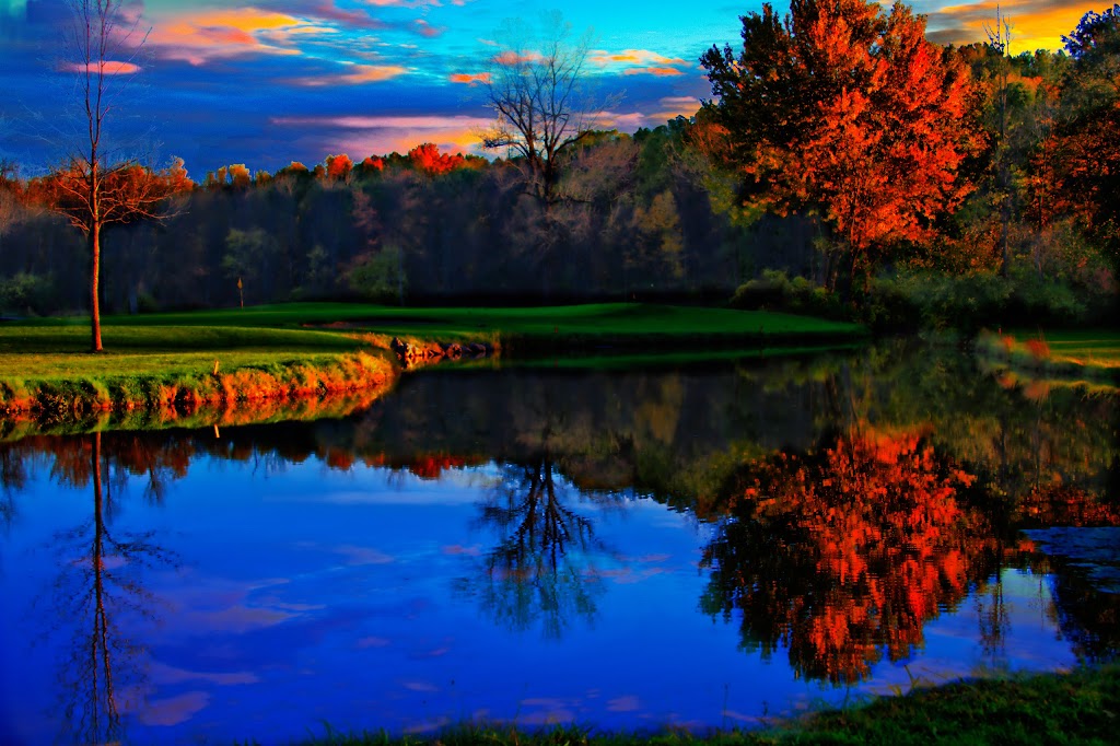 Wild Wood Country Club | restaurant | 1201 Rush West Rush Rd, Rush, NY 14543, USA | 5853345860 OR +1 585-334-5860