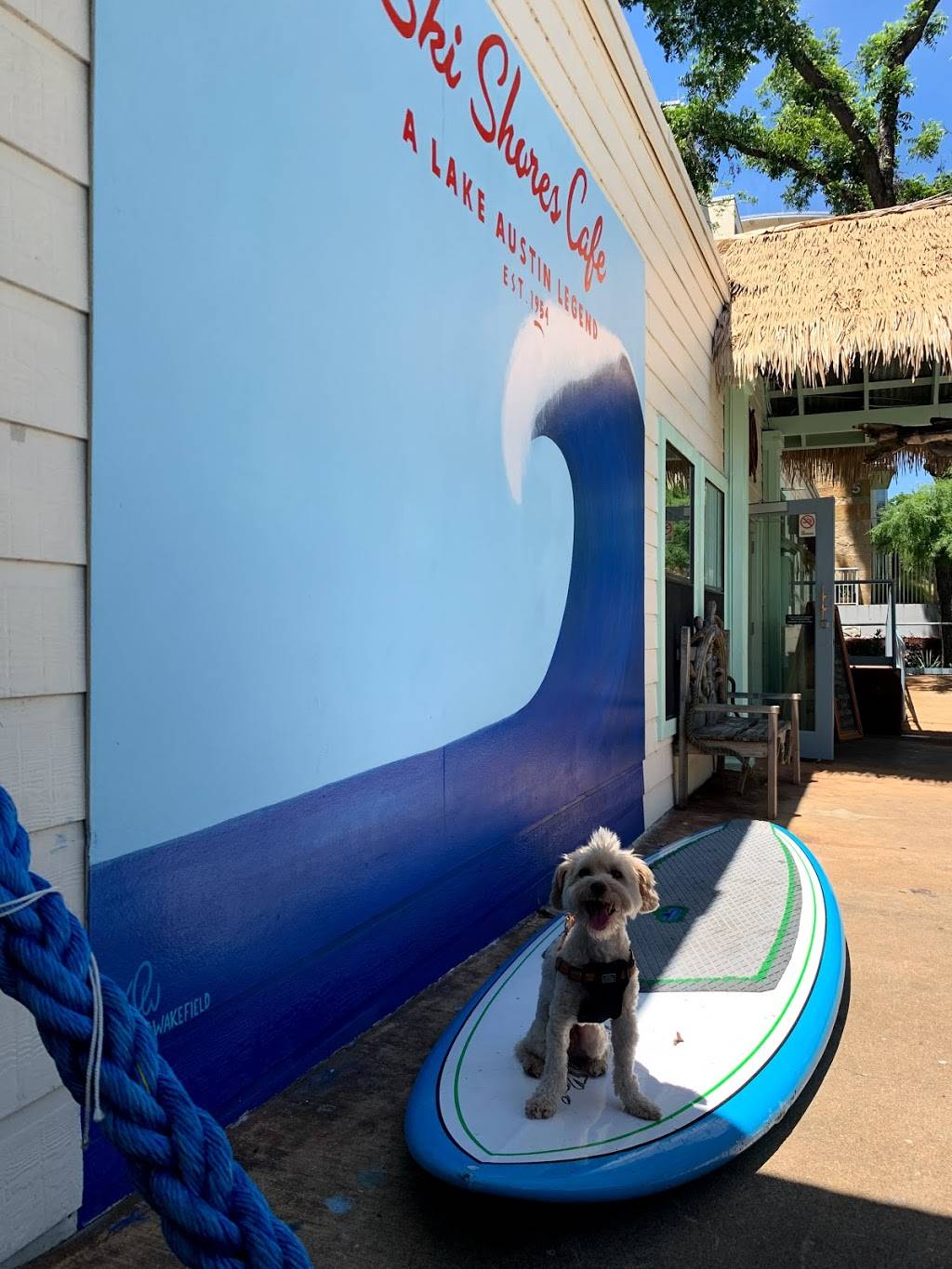 Ski Shores Cafe | restaurant | 1530 Barton Springs Rd, Austin, TX 78704, USA | 7372225600 OR +1 737-222-5600