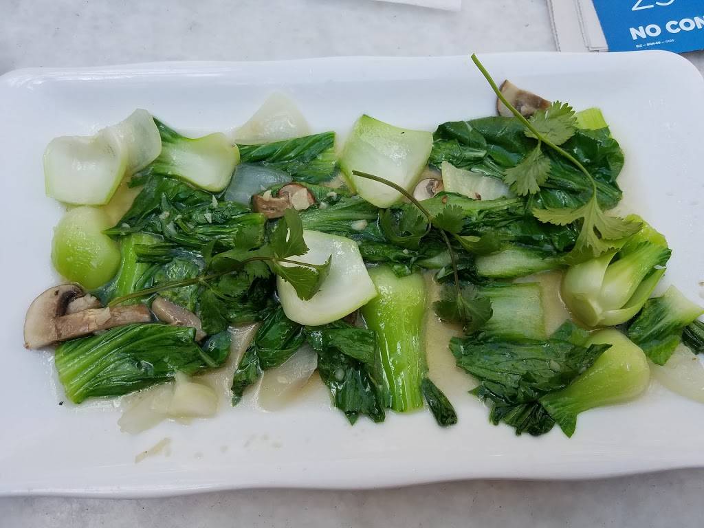 Alesia Restaurant | restaurant | 7204 Central Avenue North, St. Petersburg, FL 33707, USA | 7273459701 OR +1 727-345-9701