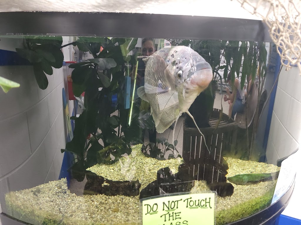 Buddys Seafood Market | meal takeaway | 111 S, FL-79, Panama City Beach, FL 32413, USA | 8502342609 OR +1 850-234-2609