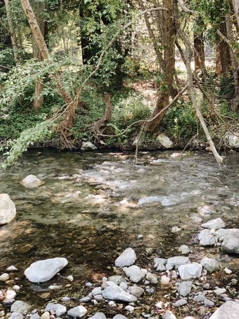 The Village, Big Sur | restaurant | 46840 CA-1, Big Sur, CA 93920, USA | 8316671700 OR +1 831-667-1700