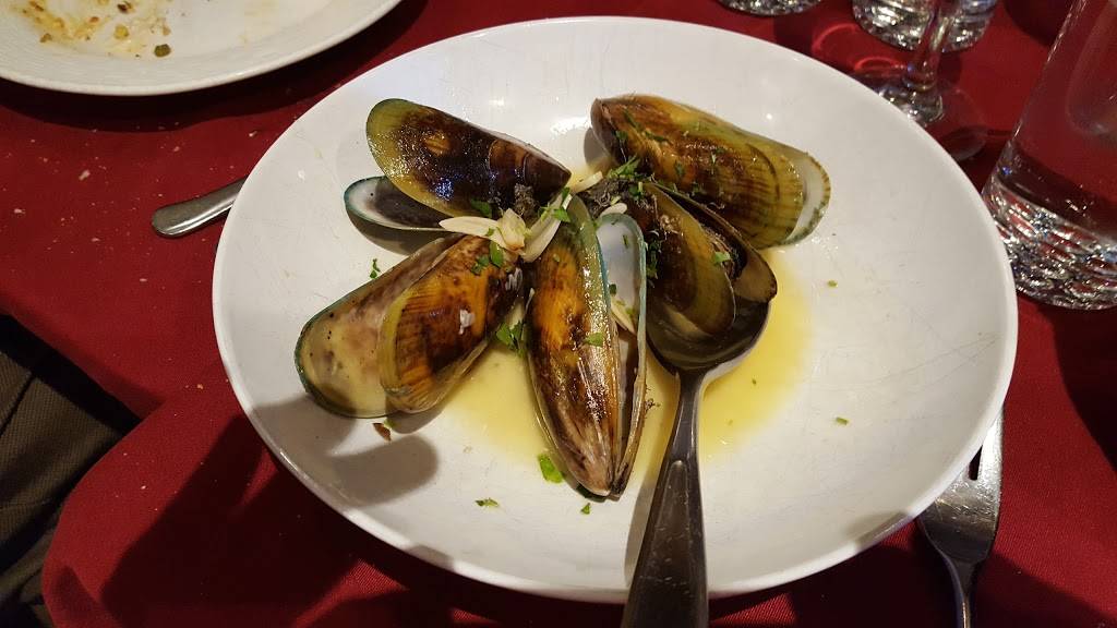 Tommaso | restaurant | 1464 86th St, Brooklyn, NY 11228, USA | 7182369883 OR +1 718-236-9883