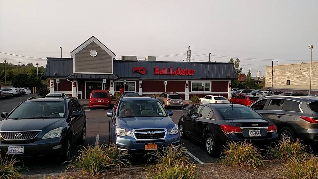 Red Lobster | restaurant | 2965 Erie Blvd E, Syracuse, NY 13224, USA | 3154451988 OR +1 315-445-1988