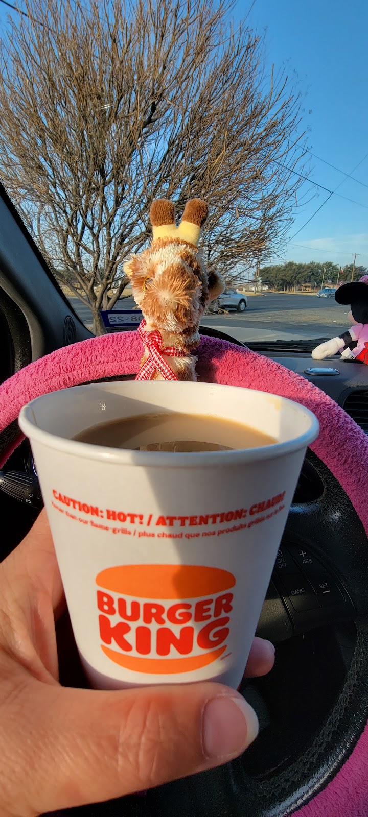 Burger King | restaurant | 710 Andrews Hwy, Midland, TX 79701, USA | 4326850991 OR +1 432-685-0991