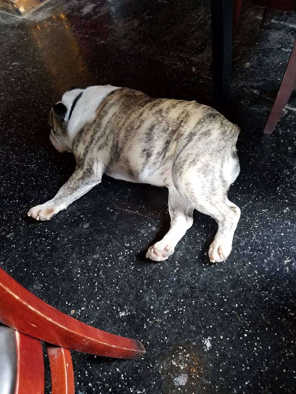 Macs Southside | restaurant | 1701 S Lamar St, Dallas, TX 75215, USA | 2144848029 OR +1 214-484-8029