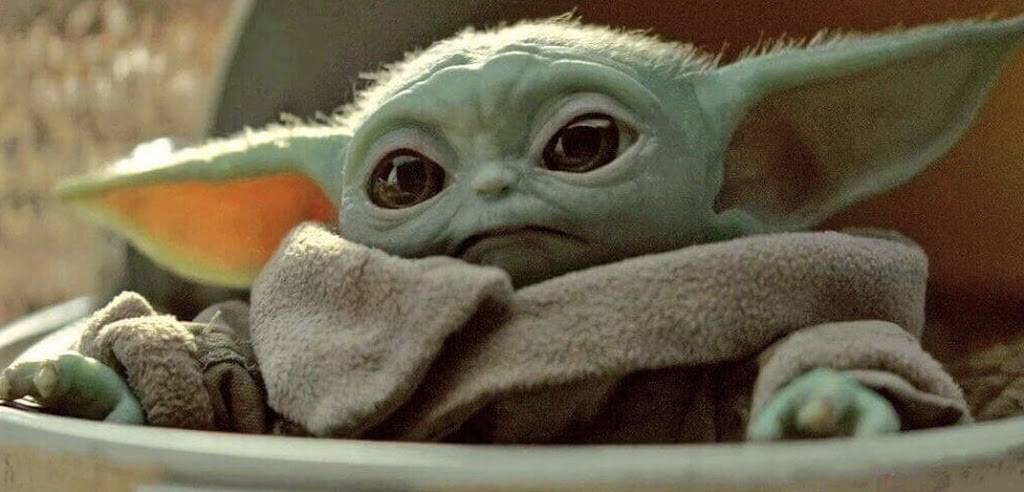 Del Popolo | restaurant | 4885 MacArthur Blvd NW, Washington, DC 20007, USA | 2025062821 OR +1 202-506-2821