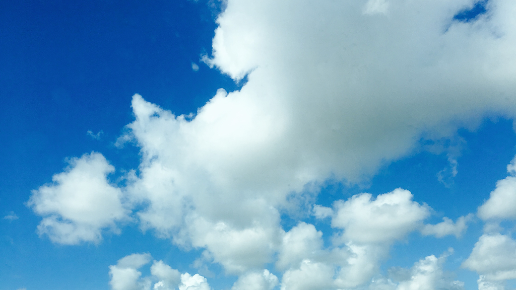 China Star | restaurant | 1230, 1930 Washington Ln, Philadelphia, PA 19138, USA | 2155487493 OR +1 215-548-7493