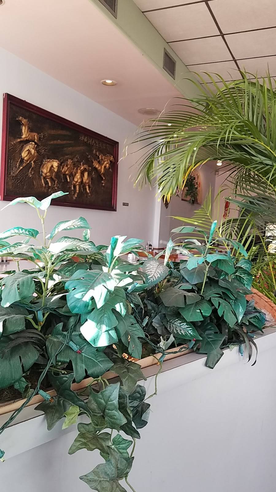 Szechuan Delight | restaurant | 24011 Linden Blvd, Elmont, NY 11003, USA | 5162856088 OR +1 516-285-6088