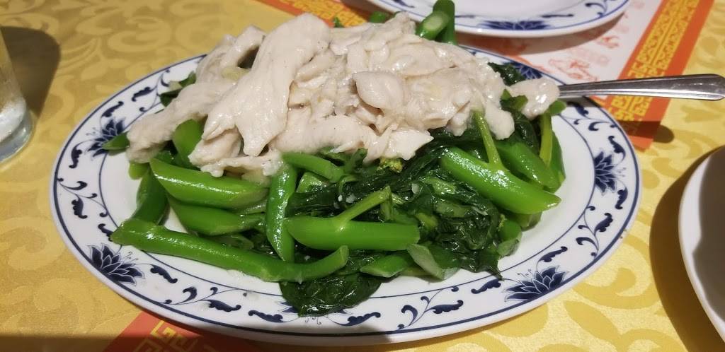 Chef Chen Chinese Restaurant | restaurant | 11557 N Kendall Dr, Miami, FL 33176, USA | 3052746799 OR +1 305-274-6799