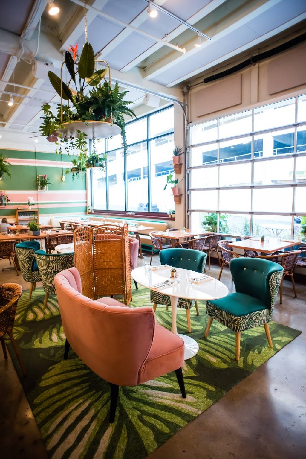 Noble Cider - The Greenhouse Restaurant | restaurant | 49 Rankin Ave, Asheville, NC 28806, USA | 8285054076 OR +1 828-505-4076