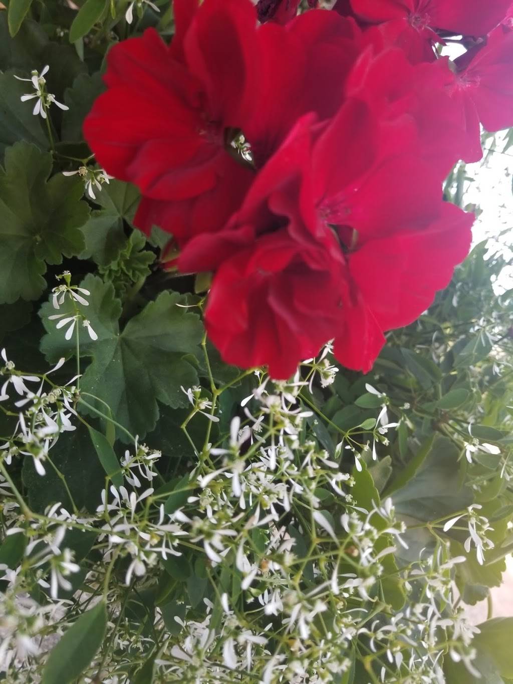 Red Oak Inn | restaurant | Tuscumbia, MO 65082, USA | 5733692770 OR +1 573-369-2770