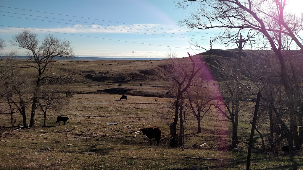 Laura Lees Double L Country Store | restaurant | 2213 NE-71, Harrisburg, NE 69345, USA | 3082412266 OR +1 308-241-2266