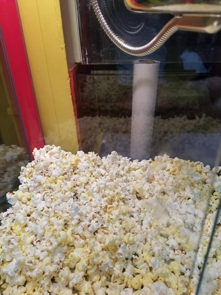 TBs Carnival Treats | restaurant | 3035 Lamar Ave, Memphis, TN 38114, USA | 9016728019 OR +1 901-672-8019