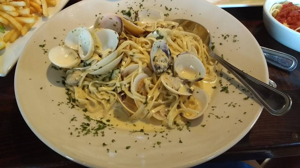 Sharkys Seagrill | restaurant | 2519 Gulf Dr N, Bradenton Beach, FL 34217, USA | 9417799151 OR +1 941-779-9151