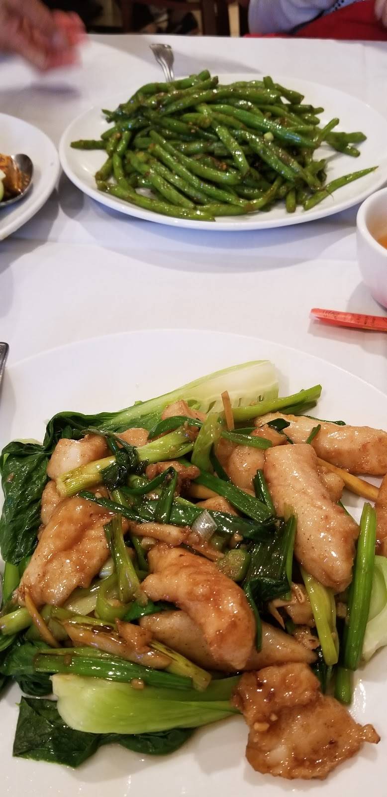 Shanghai City | restaurant | 7860 Glades Rd, Boca Raton, FL 33434, USA | 5614821291 OR +1 561-482-1291