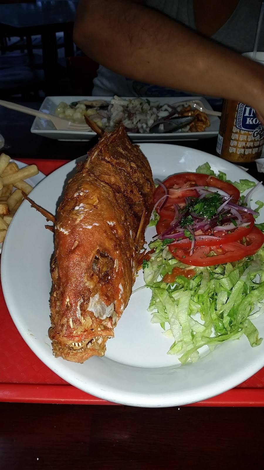 El Tambo Grill | restaurant | 12861 SW 88th St, Miami, FL 33186, USA | 3057229751 OR +1 305-722-9751