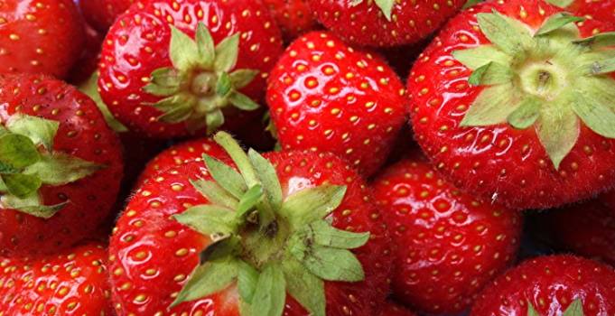 Bennys Berries | restaurant | 2136 N 100 Rd, Wellsville, KS 66092, USA | 9133136273 OR +1 913-313-6273