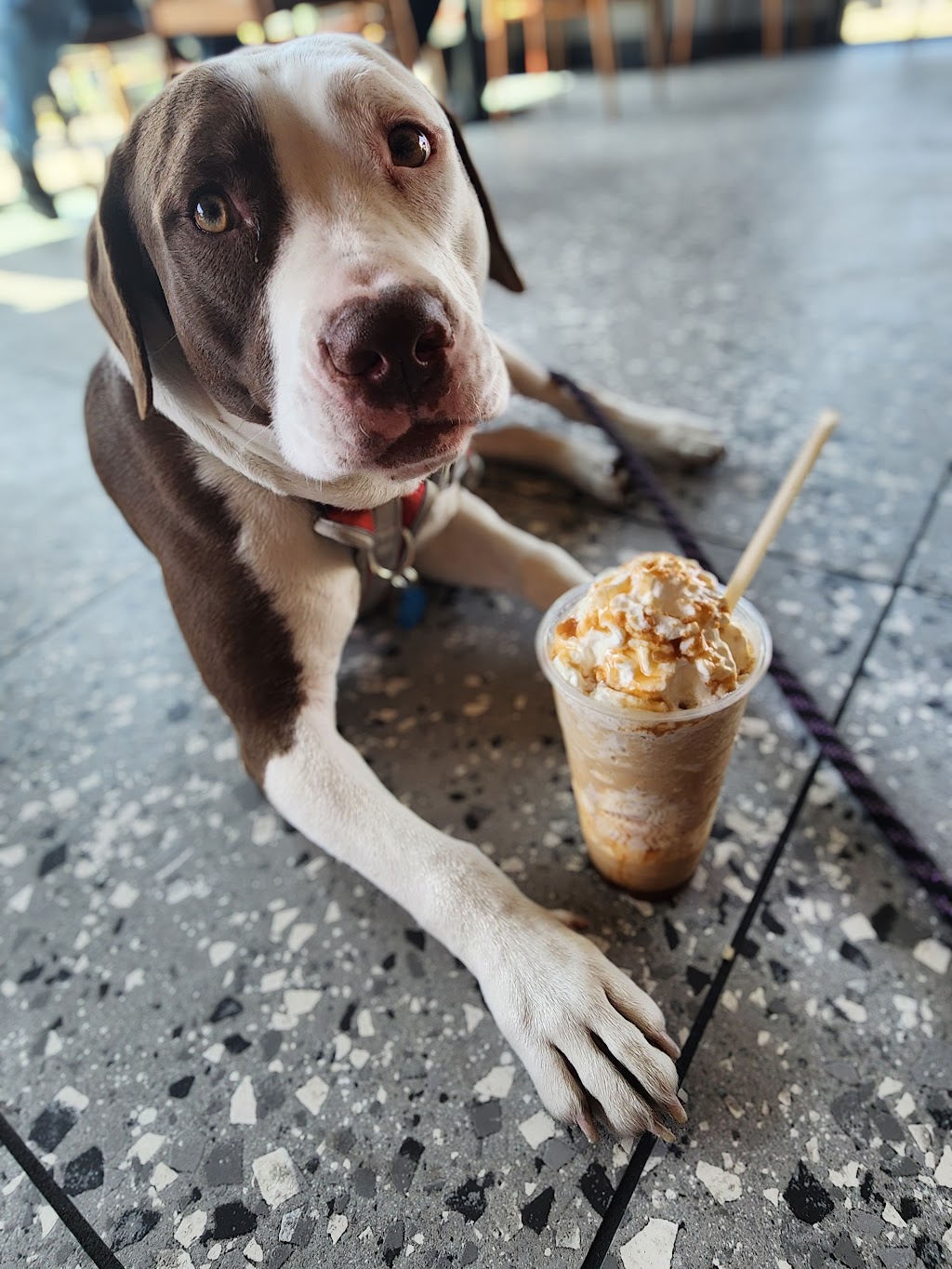 Starbucks | cafe | 906 J St, Modesto, CA 95354, USA | 2099290006 OR +1 209-929-0006