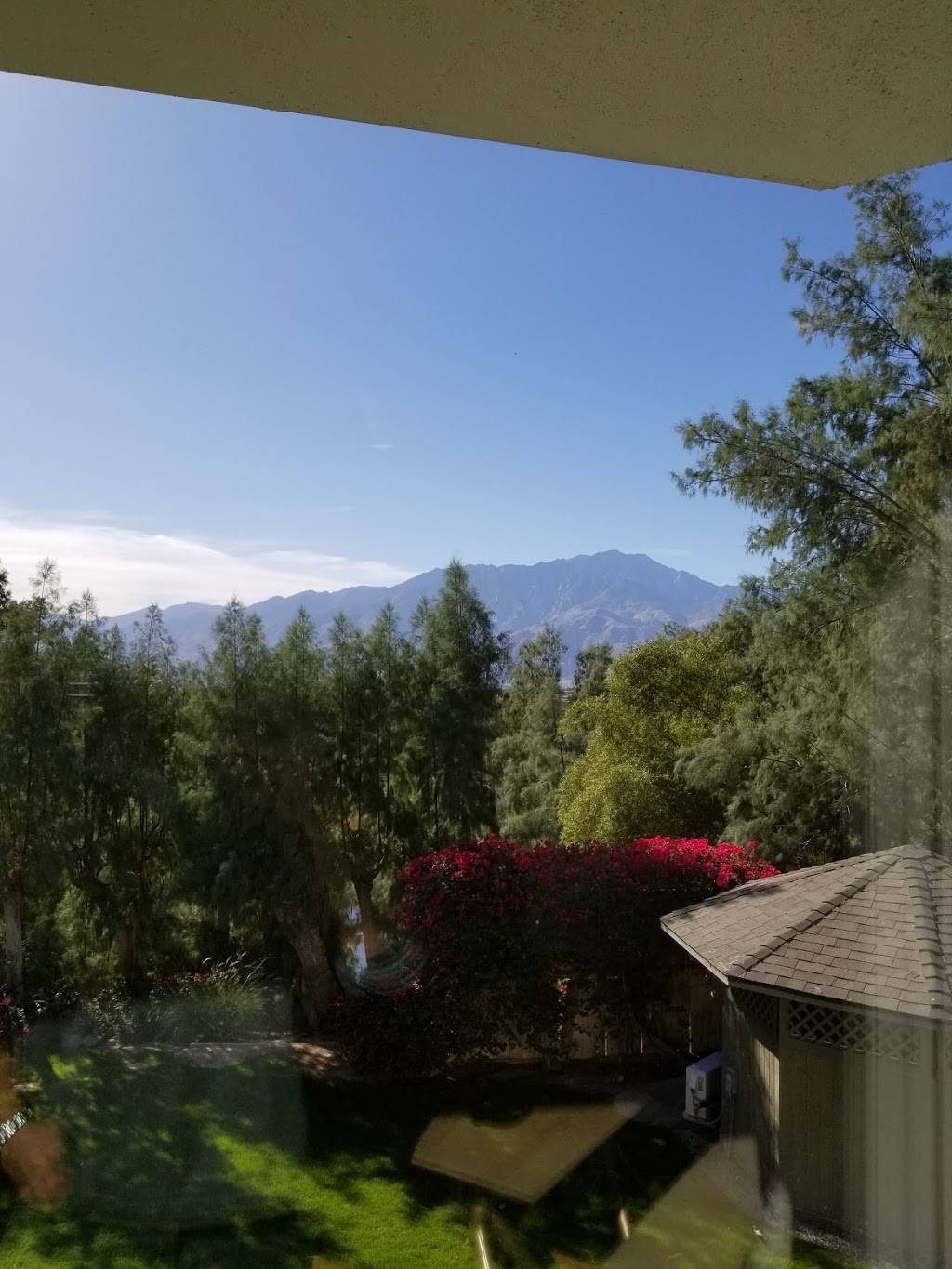 Essense | restaurant | 67425 Two Bunch Palms Trail, Desert Hot Springs, CA 92240, USA | 7603298791 OR +1 760-329-8791