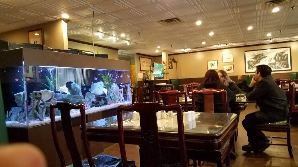 3-6-9 Chinese Restaurant | meal takeaway | 1425 Tuskawilla Rd, Winter Springs, FL 32708, USA | 4076953699 OR +1 407-695-3699