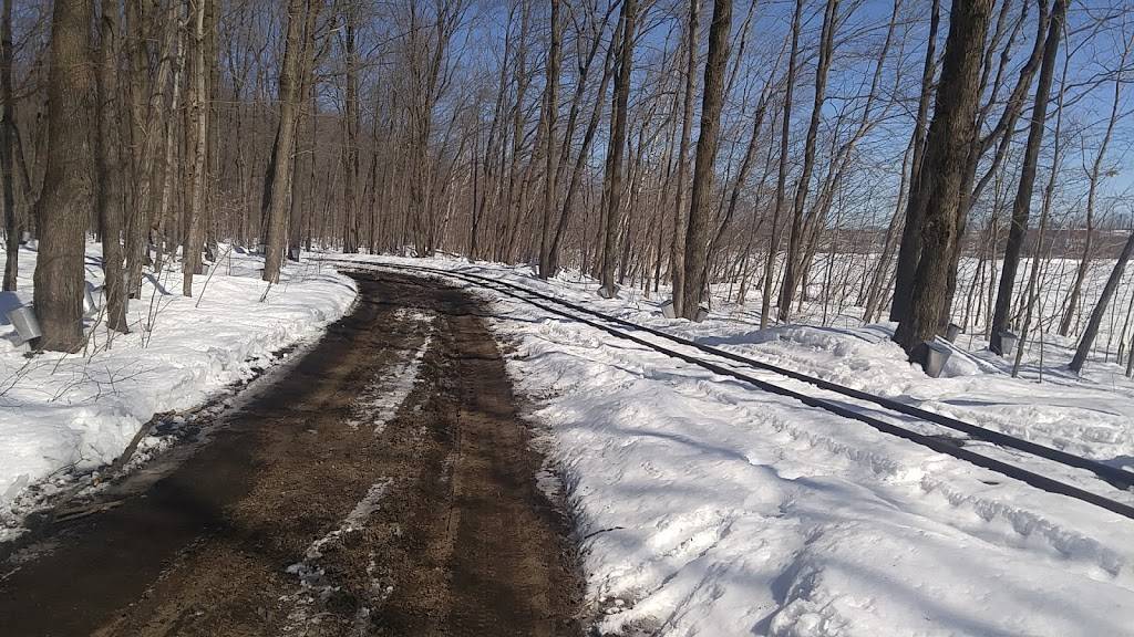 Cabane A Sucre Bouvrette | restaurant | 1000 Rue Nobel, Saint-Jérôme, QC J7Z 7A3, Canada | 4504384659 OR +1 450-438-4659