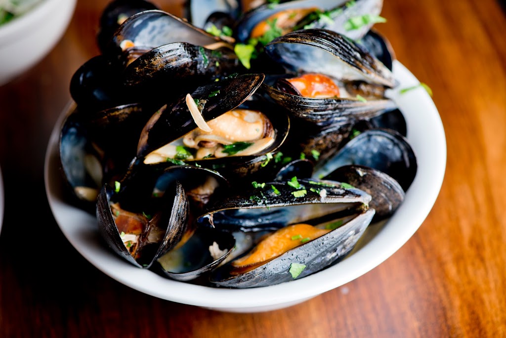 Patrizias of NYC | restaurant | 3300 NE 32nd St, Fort Lauderdale, FL 33308, USA | 9547776880 OR +1 954-777-6880