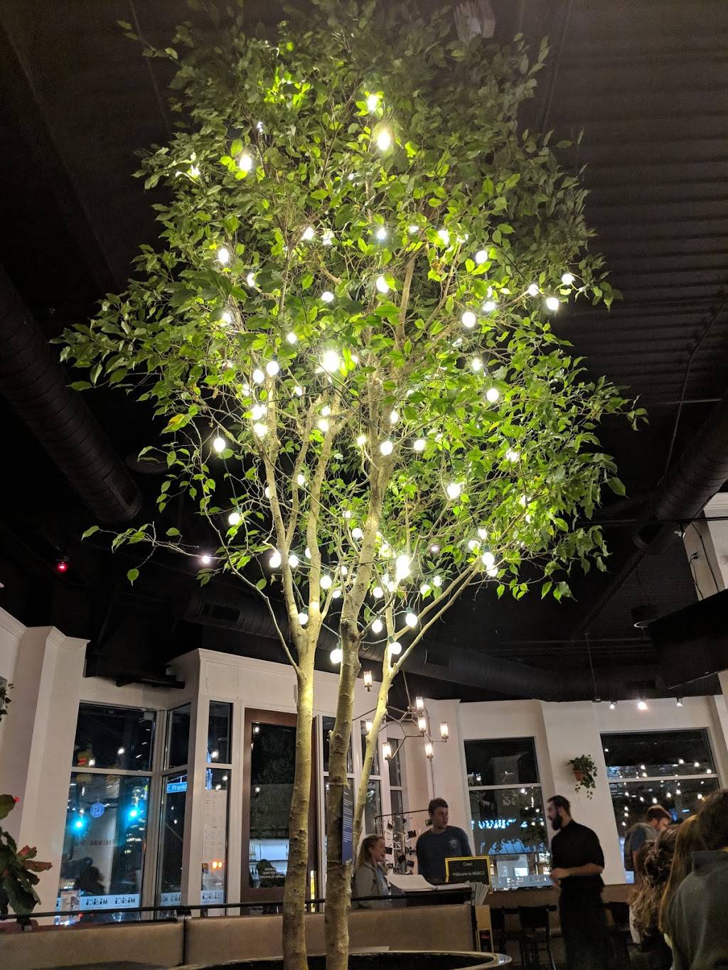 MidiCi Italian Kitchen | restaurant | 100 E Franklin St, Chapel Hill, NC 27514, USA | 9192407454 OR +1 919-240-7454