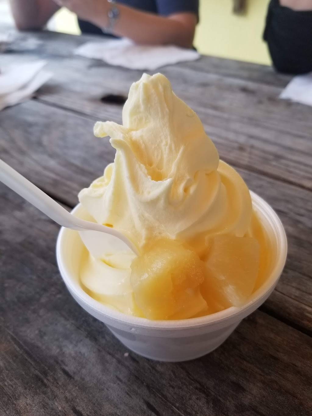 Surfin Turtle Ice Cream Shoppe | restaurant | 1210 Florida A1A, Satellite Beach, FL 32937, USA | 3214276428 OR +1 321-427-6428