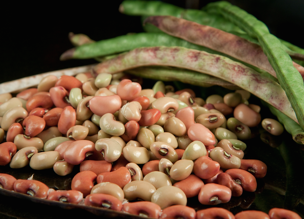 Dinner Diva: Personal Chef Mary Hathaway | restaurant | 5655 Silver Creek Valley Rd #470, San Jose, CA 95138, USA | 4082421520 OR +1 408-242-1520