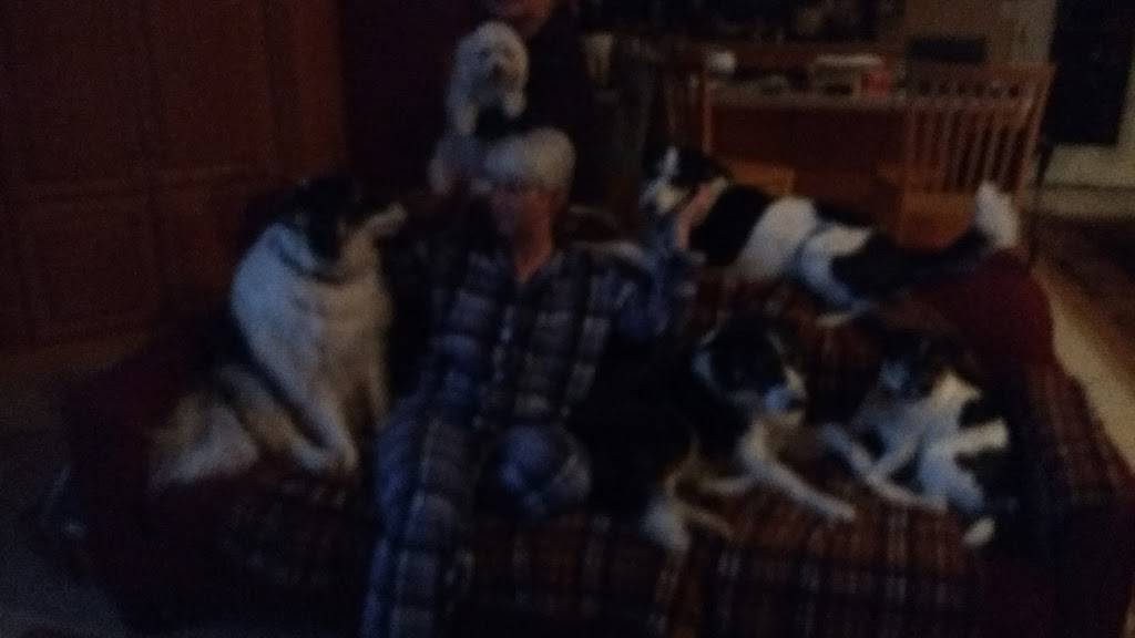 Fireside Cafe | restaurant | 2301-2315 Bonisteel Blvd, Ann Arbor, MI 48109, USA | 7347647535 OR +1 734-764-7535