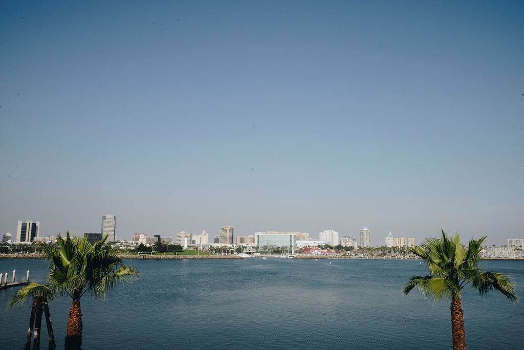 The Reef Restaurant | restaurant | 880 S Harbor Scenic Dr, Long Beach, CA 90802, USA | 5624358013 OR +1 562-435-8013