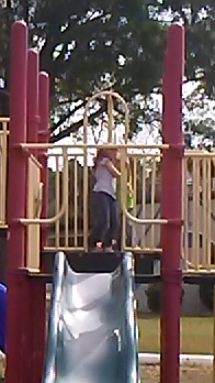 Country Corner | restaurant | 101 E Mulberry St, Funston, GA 31753, USA | 2299415042 OR +1 229-941-5042