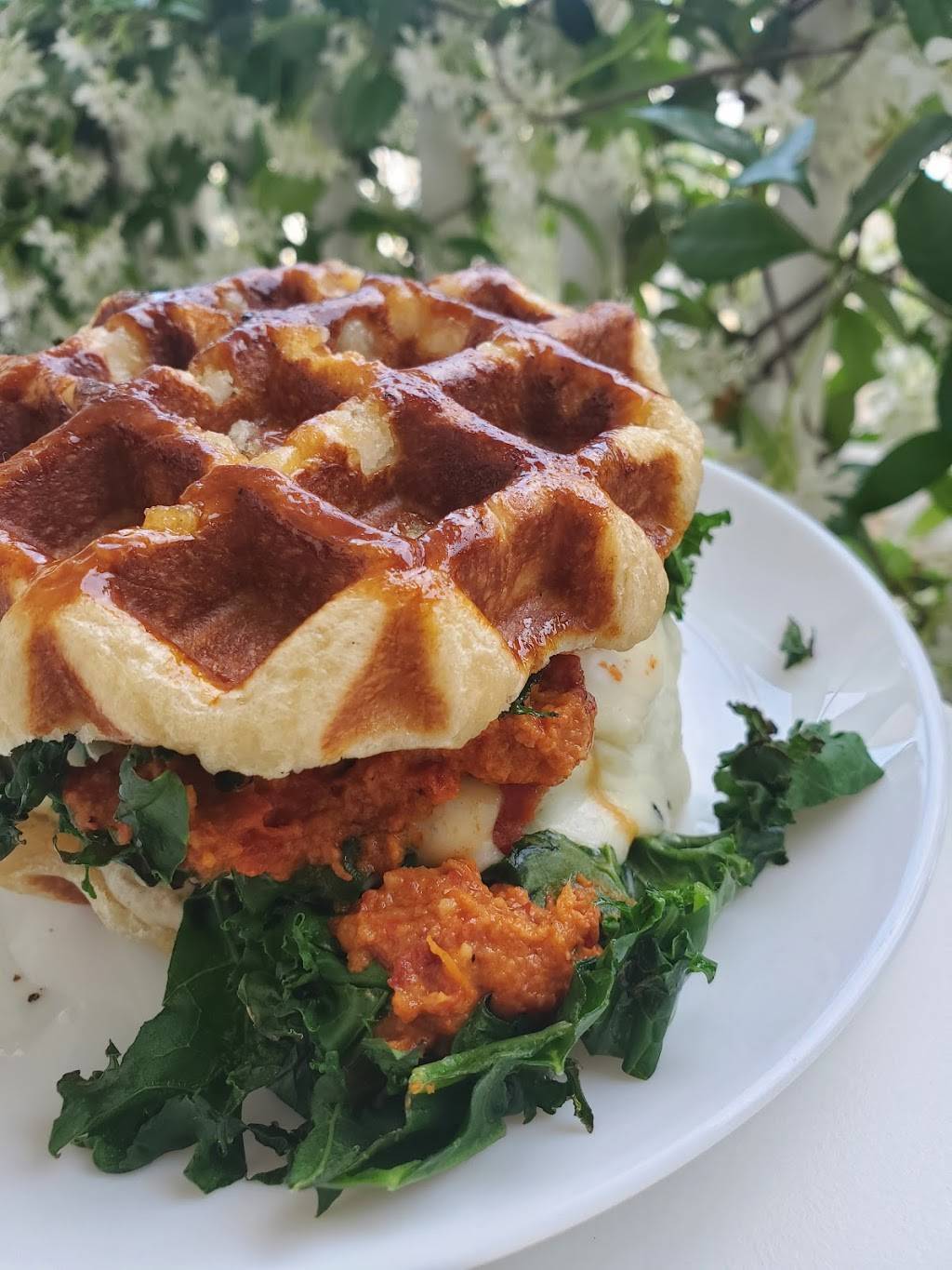 Mea Culpa Cafe | cafe | 2410 Colonial Ave, Norfolk, VA 23517, USA | 7578051727 OR +1 757-805-1727