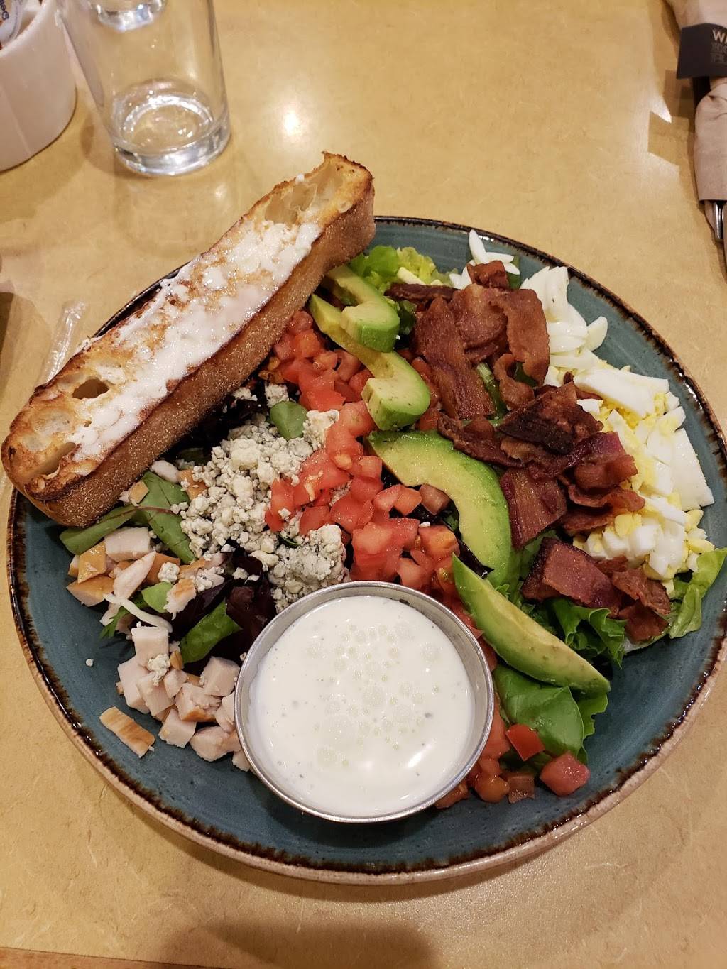 First Watch - Countryside Village Square | restaurant | 2569 Countryside Blvd, Clearwater, FL 33761, USA | 7277128769 OR +1 727-712-8769