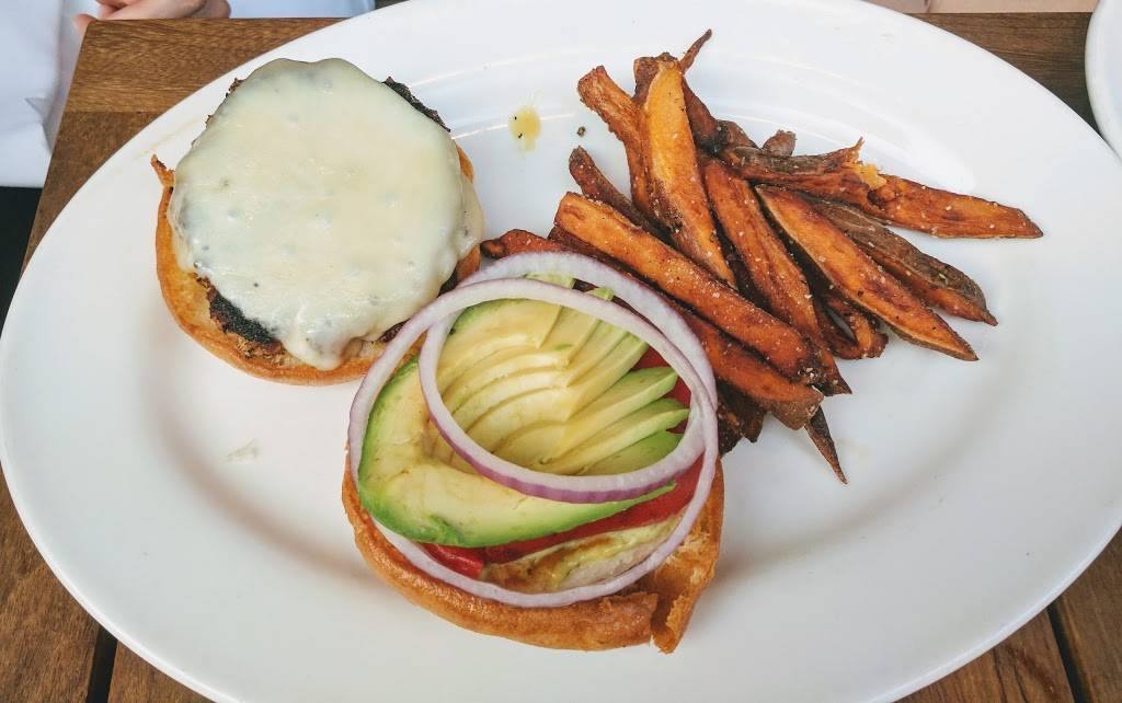 Doc Bs Restaurant + Bar | restaurant | 2223 N Westshore Blvd B-206, Tampa, FL 33607, USA | 8134986200 OR +1 813-498-6200