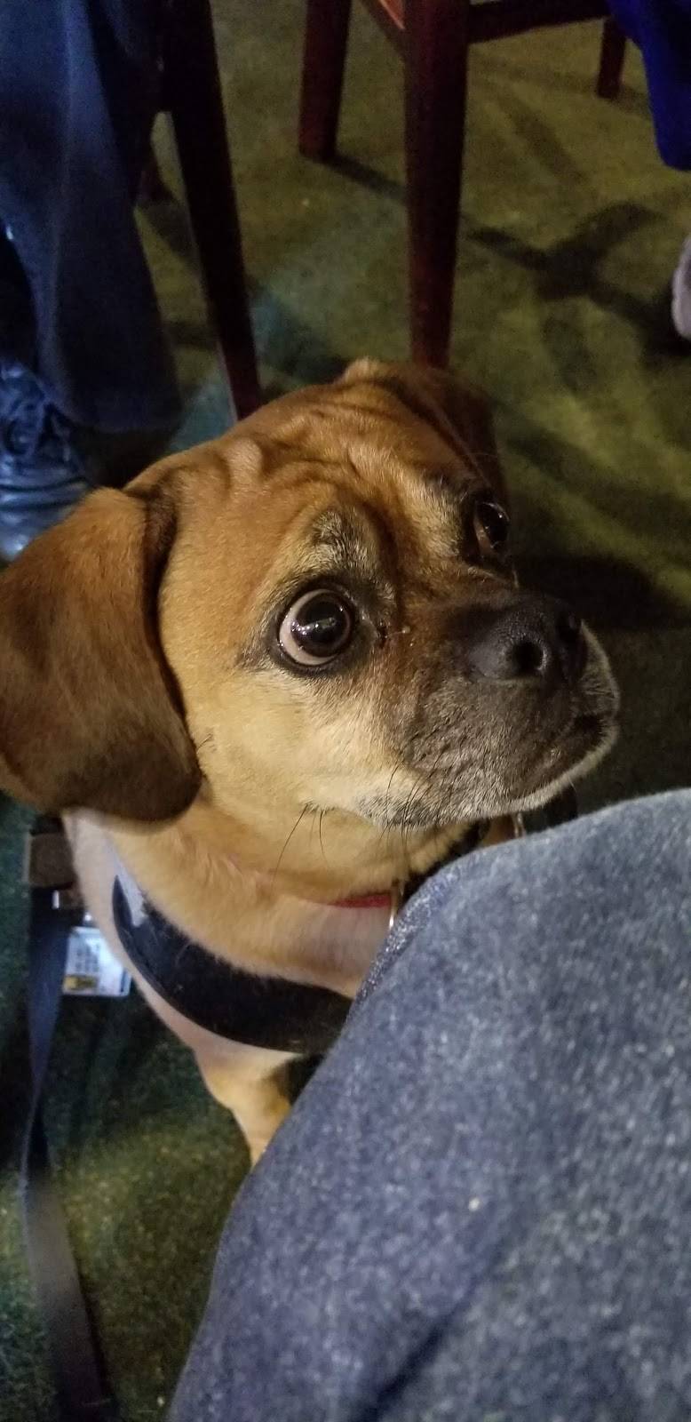 China Star | restaurant | 4227 Haines Rd, Hermantown, MN 55811, USA | 2187402750 OR +1 218-740-2750