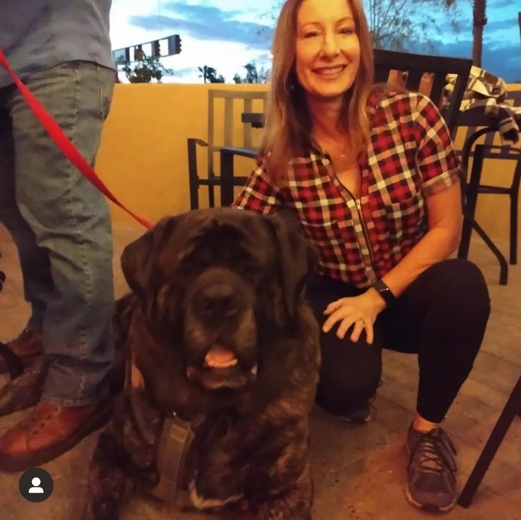 Tap Dragon Craft Beer & Wine Bar | restaurant | 835 S Gilbert Rd, Gilbert, AZ 85296, USA | 4808415566 OR +1 480-841-5566