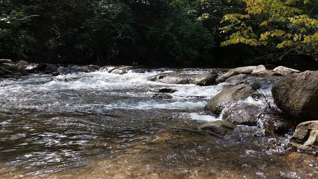 OSheas BBQ | restaurant | 543 N Main St #201, Rochester, MI 48307, USA | 2488411491 OR +1 248-841-1491