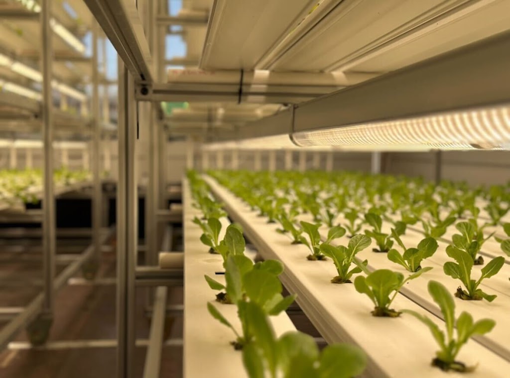 Clayton Farms Salads | restaurant | 2435 Grand Ave, Ames, IA 50010, USA | 5158822669 OR +1 515-882-2669