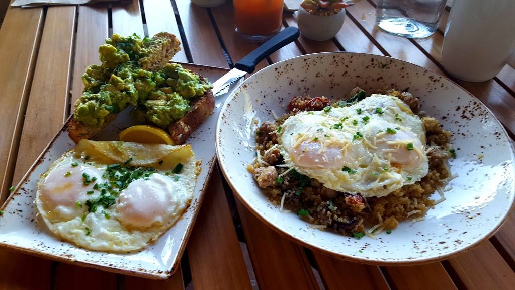 First Watch - Hayden Peak | restaurant | 20567 North Hayden Road #101, Scottsdale, AZ 85255, USA | 4805023447 OR +1 480-502-3447