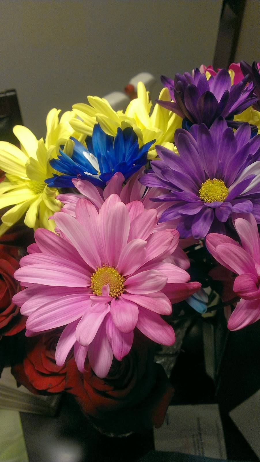 Raintree Bar and Grill | restaurant | 2970 Colvin Blvd, Tonawanda, NY 14150, USA | 7166953504 OR +1 716-695-3504