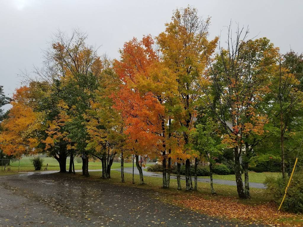 Village Market & Deli | meal takeaway | 6234 Main St, Tannersville, NY 12485, USA | 5185896111 OR +1 518-589-6111