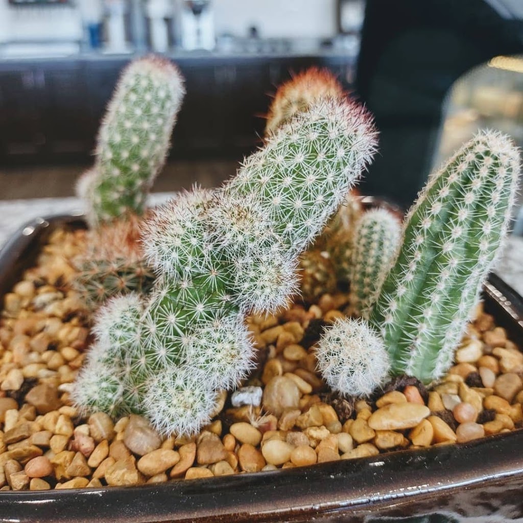 Rosies Gourmet 2 Go | restaurant | 3337 Henry Rd, Anniston, AL 36207, USA | 2563425294 OR +1 256-342-5294