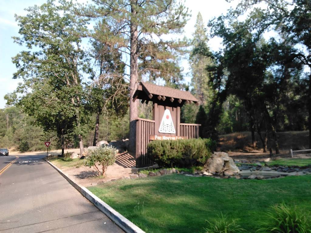 Two Guys Pizza Pies | restaurant | 18955 Ferretti Rd, Groveland, CA 95321, USA | 2099624897 OR +1 209-962-4897