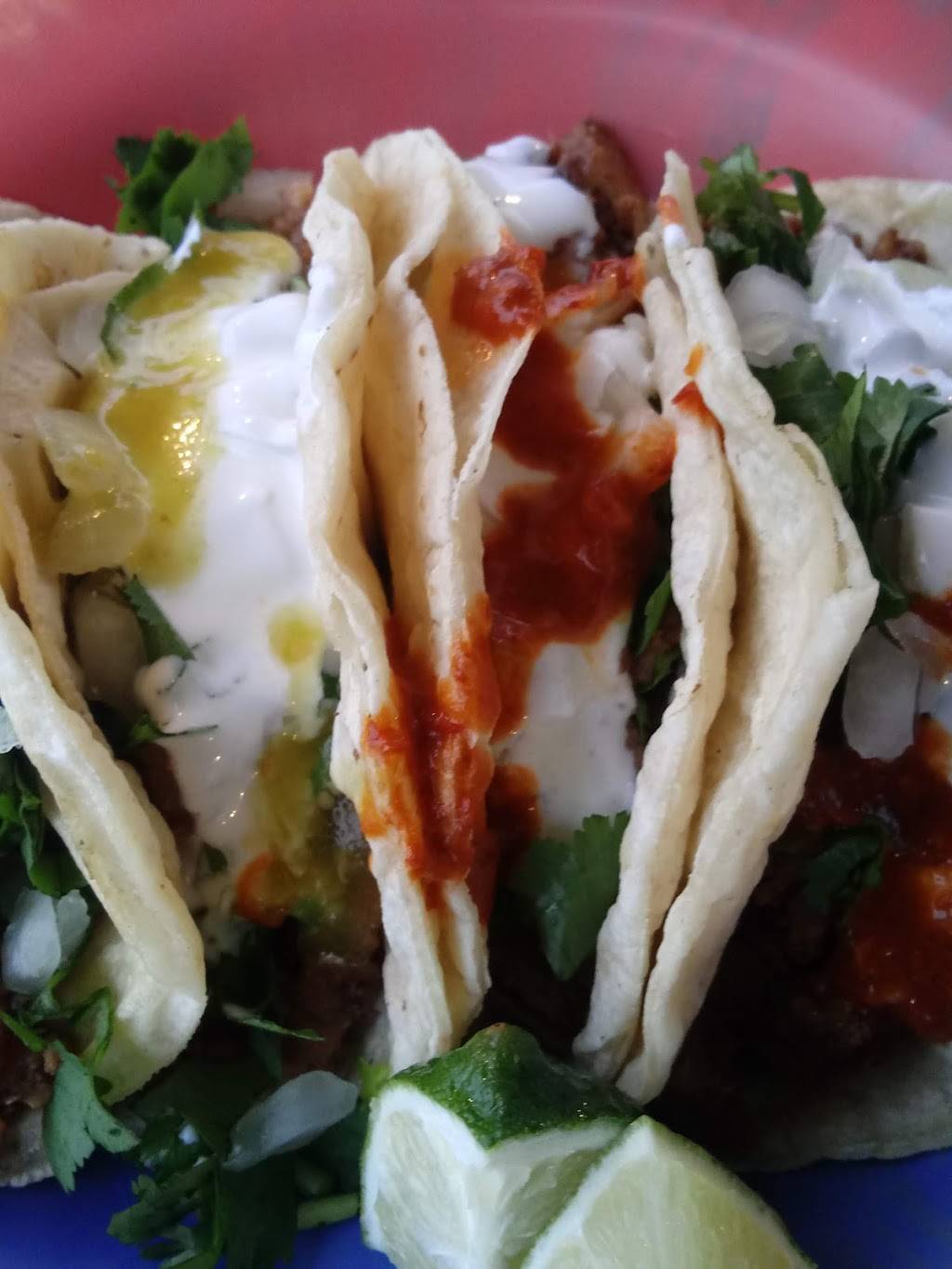 Nandos Taqueria | restaurant | 2640 S McCall Rd, Englewood, FL 34224, USA | 7062182069 OR +1 706-218-2069