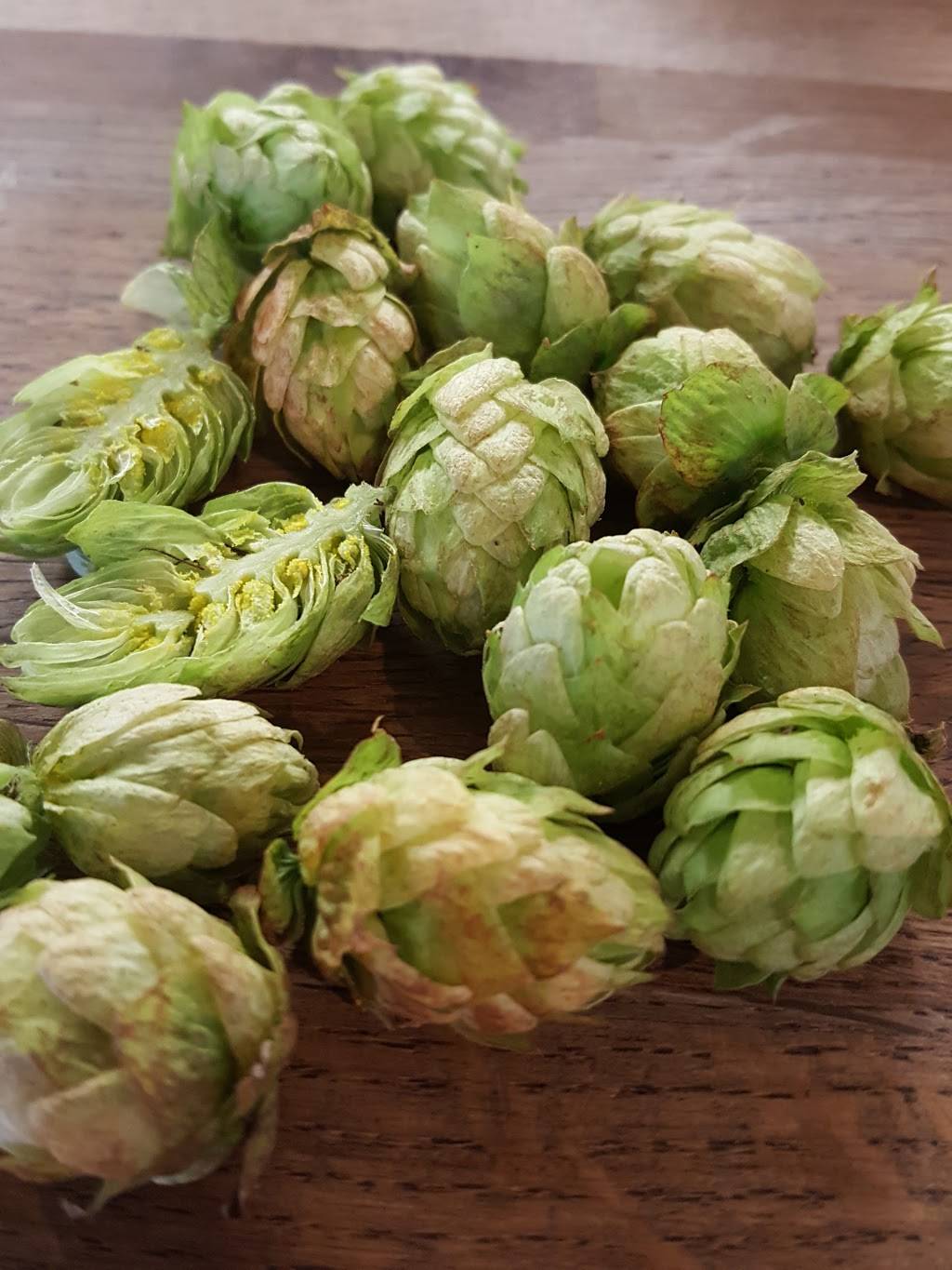 HopSaint Brewing Company | restaurant | 5160 W 190th St, Torrance, CA 90503, USA | 3102144677 OR +1 310-214-4677